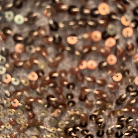 J.Crew Factory Rose Gold Sequined Tank Top size small - Picture 4 of 8